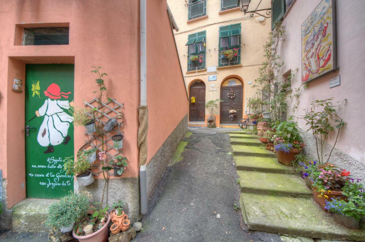 Appartamento In Villa A 5 Km Dal Mare 上阿尔比索拉 外观 照片