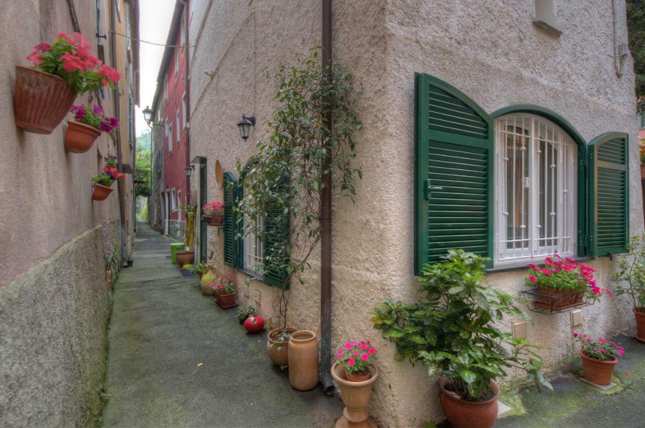 Appartamento In Villa A 5 Km Dal Mare 上阿尔比索拉 外观 照片