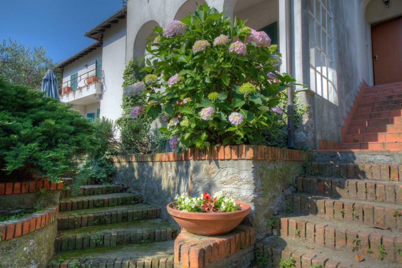Appartamento In Villa A 5 Km Dal Mare 上阿尔比索拉 外观 照片